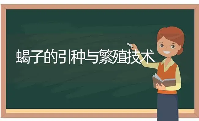 蝎子的引种与繁殖技术 | 养殖知识