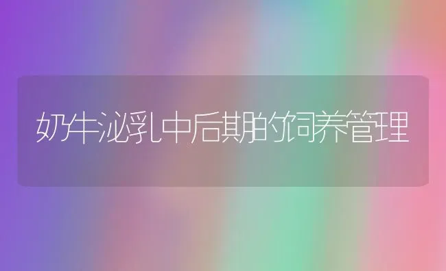 奶牛泌乳中后期的饲养管理 | 养殖知识