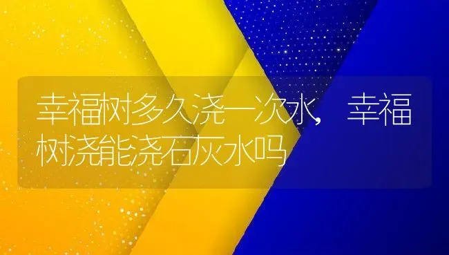 幸福树多久浇一次水,幸福树浇能浇石灰水吗 | 养殖学堂