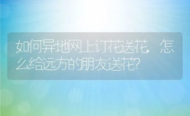 如何异地网上订花送花,怎么给远方的朋友送花？ | 养殖学堂