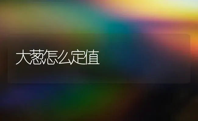 大葱怎么定值 | 养殖技术大全