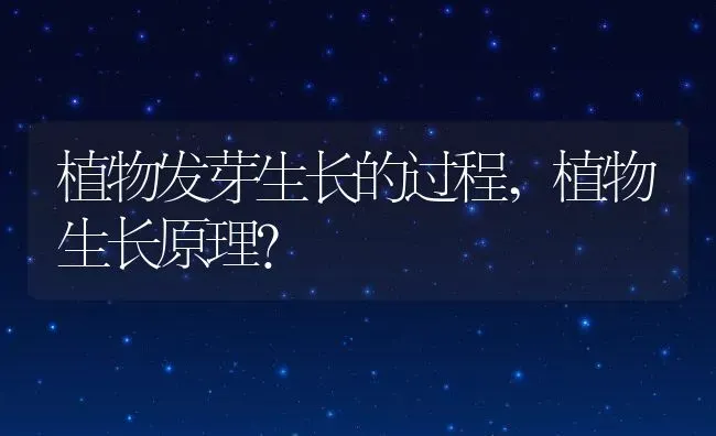 植物发芽生长的过程,植物生长原理？ | 养殖科普