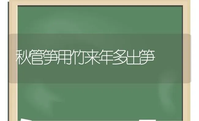 秋管笋用竹来年多出笋 | 养殖技术大全