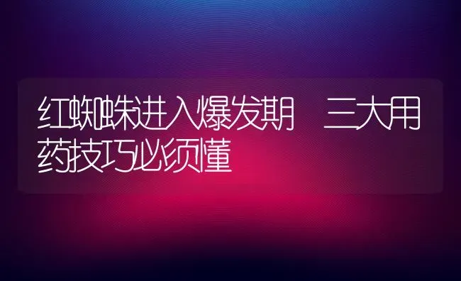 红蜘蛛进入爆发期 三大用药技巧必须懂 | 养殖技术大全