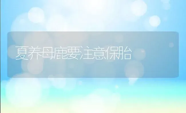 夏养母鹿要注意保胎 | 养殖技术大全