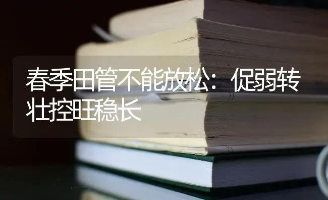 春季田管不能放松：促弱转壮控旺稳长 | 养殖知识