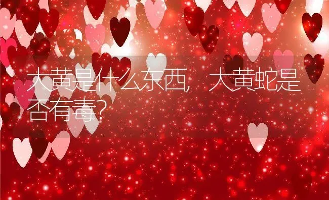 大黄是什么东西,大黄蛇是否有毒？ | 养殖科普