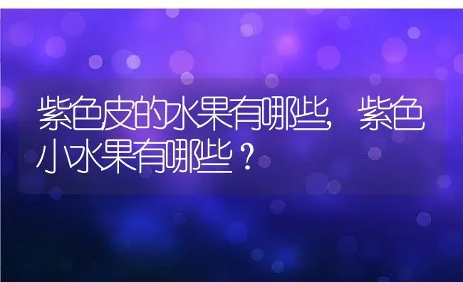 紫色皮的水果有哪些,紫色小水果有哪些？ | 养殖科普