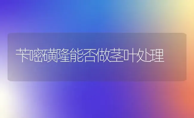 苄嘧磺隆能否做茎叶处理 | 养殖知识