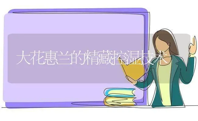 大花惠兰的精藏控湿技术 | 养殖技术大全