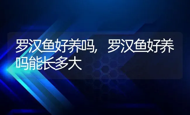 罗汉鱼好养吗,罗汉鱼好养吗能长多大 | 养殖资料