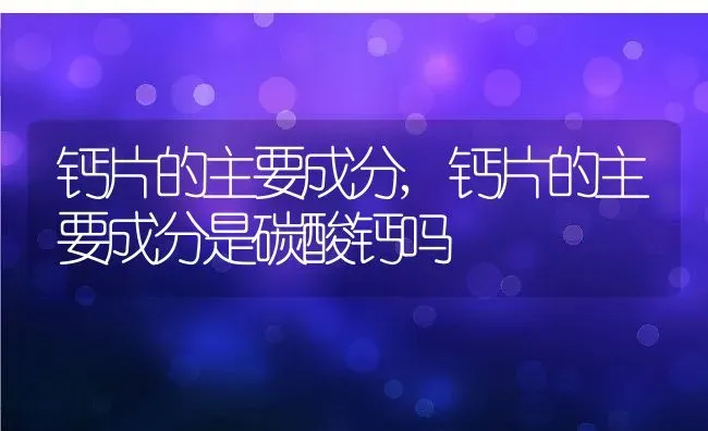 钙片的主要成分,钙片的主要成分是碳酸钙吗 | 养殖科普
