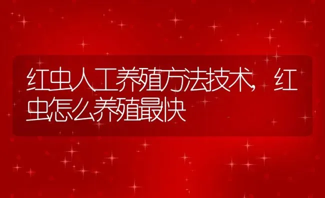 红虫人工养殖方法技术,红虫怎么养殖最快 | 养殖学堂