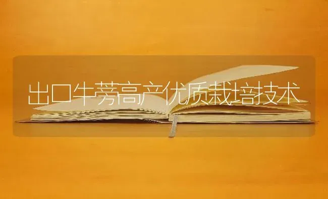 出口牛蒡高产优质栽培技术 | 养殖技术大全