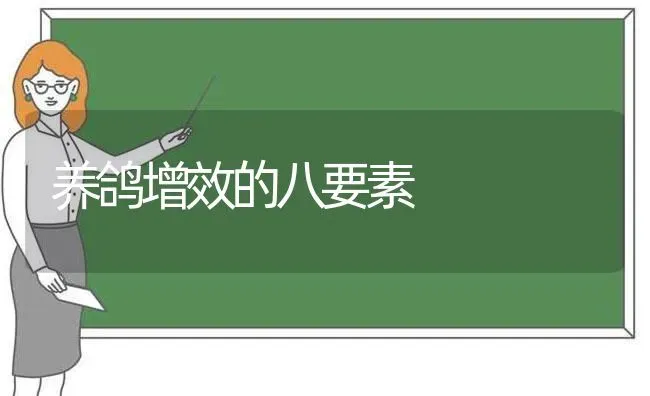 养鸽增效的八要素 | 养殖技术大全