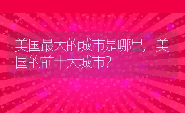 美国最大的城市是哪里,美国的前十大城市？ | 养殖科普