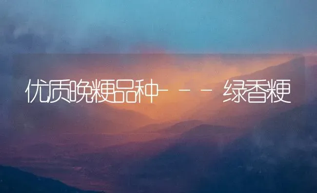 优质晚粳品种---绿香粳 | 养殖技术大全