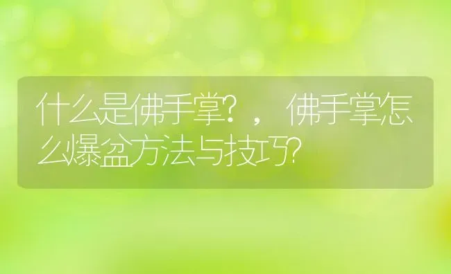 什么是佛手掌?,佛手掌怎么爆盆方法与技巧？ | 养殖科普