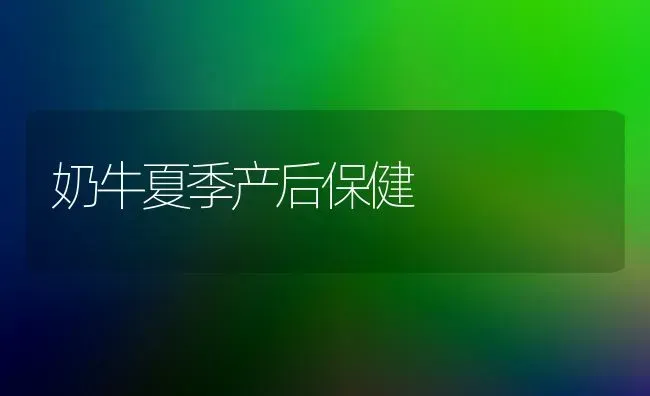 奶牛夏季产后保健 | 养殖技术大全