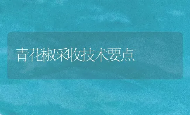 青花椒采收技术要点 | 养殖技术大全