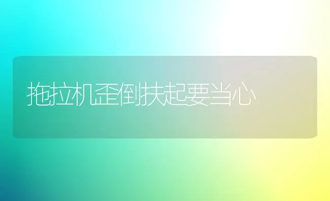 拖拉机歪倒扶起要当心 | 养殖技术大全