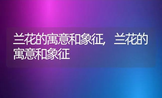 兰花的寓意和象征,兰花的寓意和象征 | 养殖科普