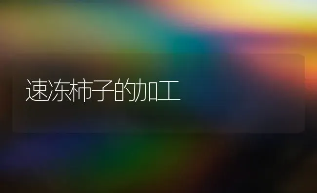 速冻柿子的加工 | 养殖知识