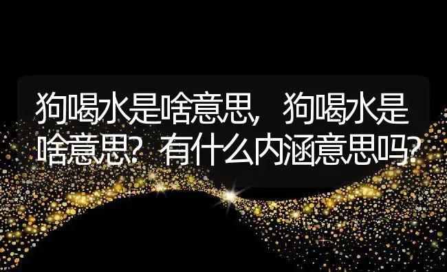 狗喝水是啥意思,狗喝水是啥意思?有什么内涵意思吗? | 养殖资料