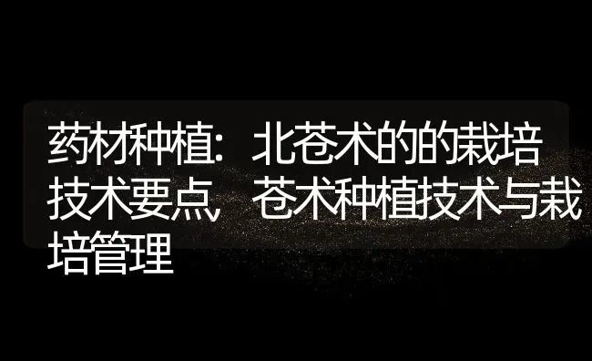 药材种植:北苍术的的栽培技术要点,苍术种植技术与栽培管理 | 养殖学堂