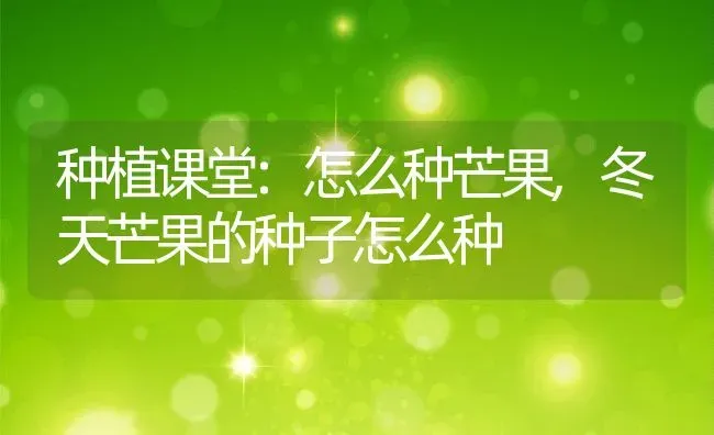 种植课堂:怎么种芒果,冬天芒果的种子怎么种 | 养殖学堂