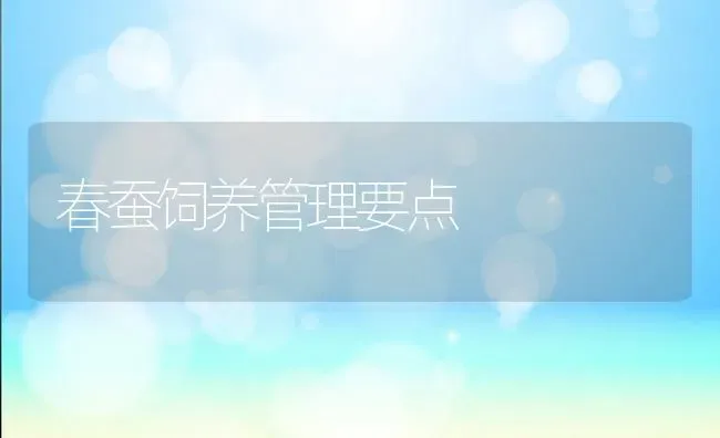 春蚕饲养管理要点 | 养殖知识