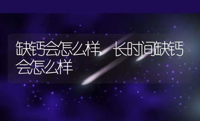 缺钙会怎么样,长时间缺钙会怎么样 | 养殖资料