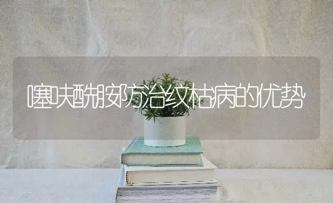 噻呋酰胺防治纹枯病的优势 | 养殖知识