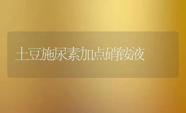 土豆施尿素加点硝铵液 | 养殖技术大全