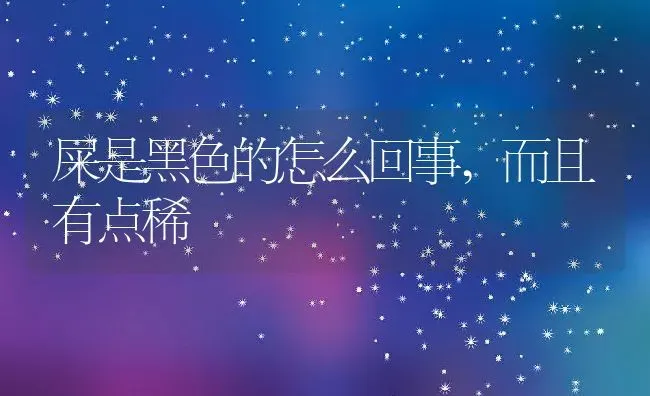 屎是黑色的怎么回事,而且有点稀 | 养殖科普