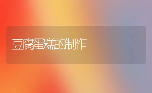 豆腐蛋糕的制作 | 养殖知识