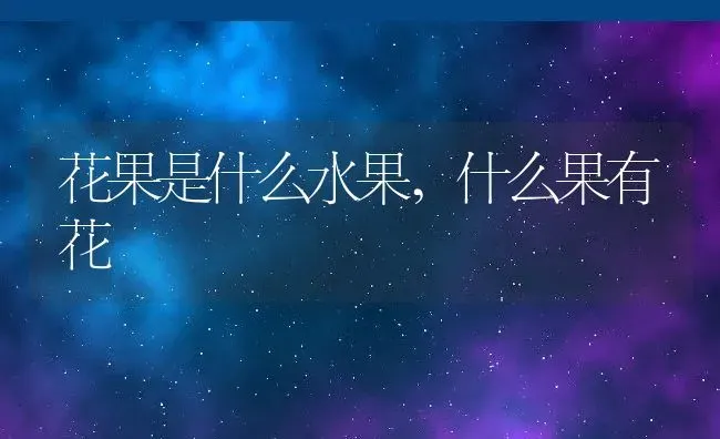 花果是什么水果,什么果有花 | 养殖学堂