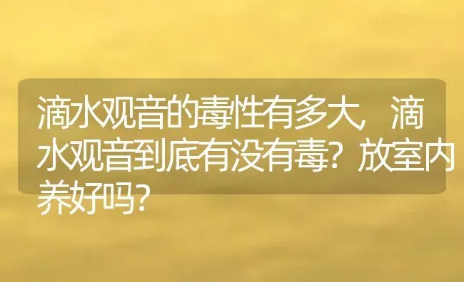 滴水观音的毒性有多大,滴水观音到底有没有毒？放室内养好吗？ | 养殖学堂