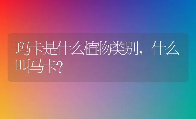 玛卡是什么植物类别,什么叫马卡？ | 养殖科普