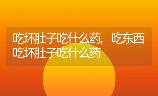 吃坏肚子吃什么药,吃东西吃坏肚子吃什么药 | 养殖资料