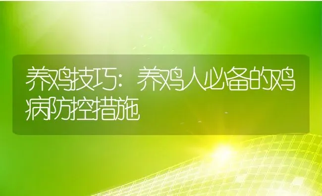 养鸡技巧:养鸡人必备的鸡病防控措施 | 养殖学堂