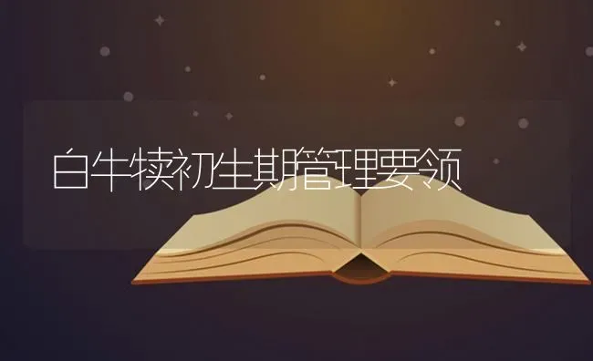 白牛犊初生期管理要领 | 养殖技术大全