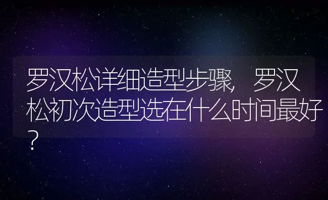 罗汉松详细造型步骤,罗汉松初次造型选在什么时间最好？ | 养殖科普