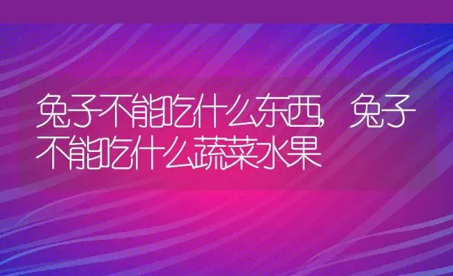 乌龟冬眠和死了区别,乌龟冬眠和死了区别图 | 养殖科普