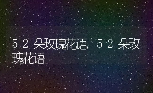 52朵玫瑰花语,52朵玫瑰花语 | 养殖科普