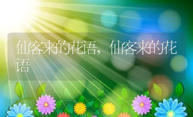 仙客来的花语,仙客来的花语 | 养殖科普