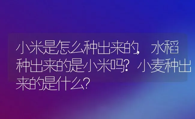 小米是怎么种出来的,水稻种出来的是小米吗?小麦种出来的是什么？ | 养殖科普