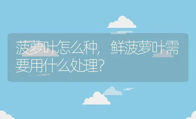 菠萝叶怎么种,鲜菠萝叶需要用什么处理？ | 养殖科普