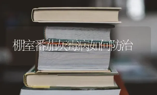棚室番茄灰霉病如何防治 | 养殖技术大全