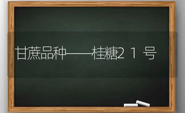 甘蔗品种——桂糖21号 | 养殖知识